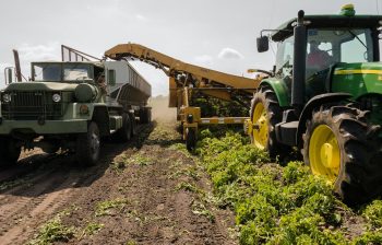 România este în topul randamentului agricol din Europa