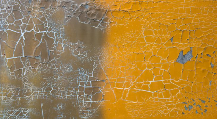 Stickerul de perete: Un detaliu decorativ cu impact