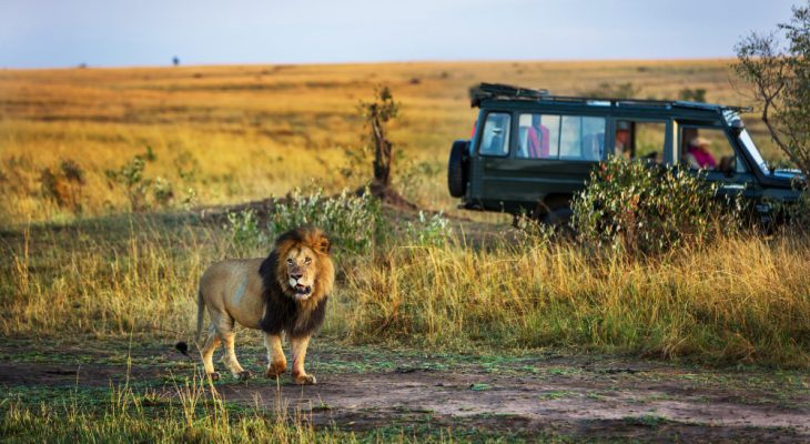 Kenya vs Namibia: În ce țară să planifici safariul