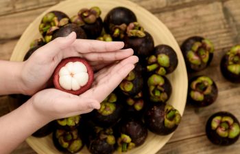 Mangosteen