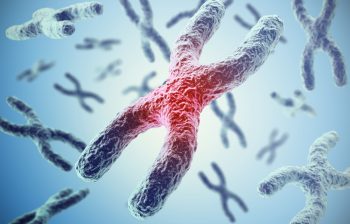Influența lungimii telomerilor asupra cancerului