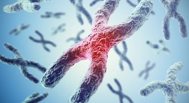 Influența lungimii telomerilor asupra cancerului