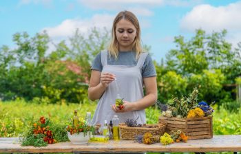 Ghid complet pentru cultivarea fructelor în grădină Ghid complet pentru cultivarea fructelor în grădină