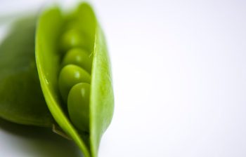 Frunzele de salcâm, sursa naturală de antioxidanți și vitamine
