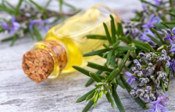Cum uleiul de cimbru combate inflamațiile și întărește imunitatea