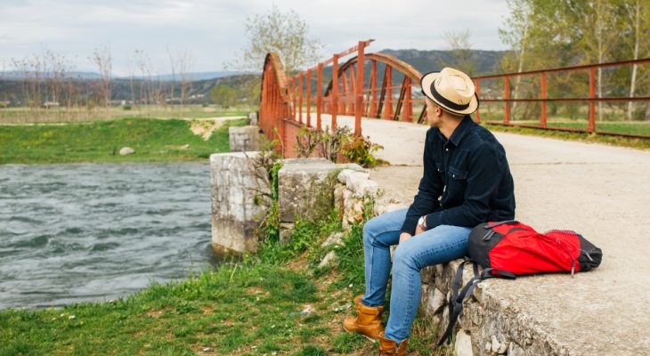 Trasee oenologice: călătorii printre podgorii și vinării