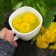 Pulberea de rădăcină de păpădie: beneficii detox