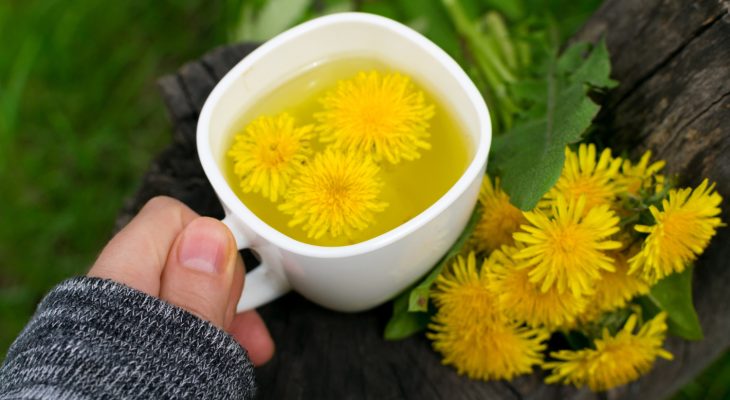 Pulberea de rădăcină de păpădie: beneficii detox