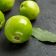 Triphala: beneficii pentru detoxifiere și sănătatea digestivă