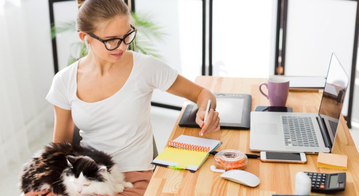 Organizarea locuinței pentru animalele de companie