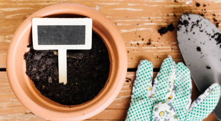 Cum să faci compost acasă fără mirosuri și fără grădină mare