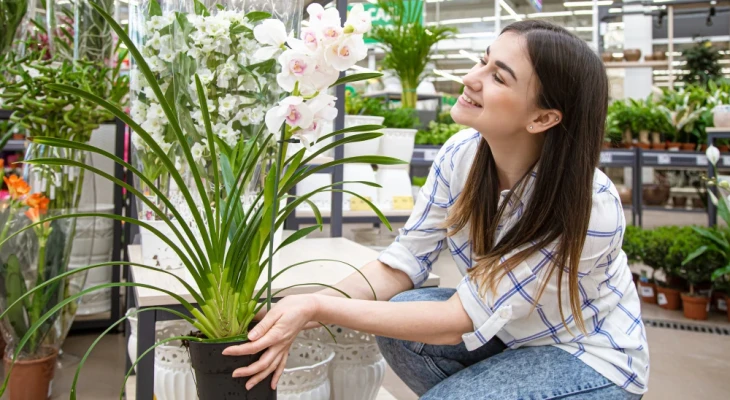 Ce plante se potrivesc unui balcon cu puțină lumină